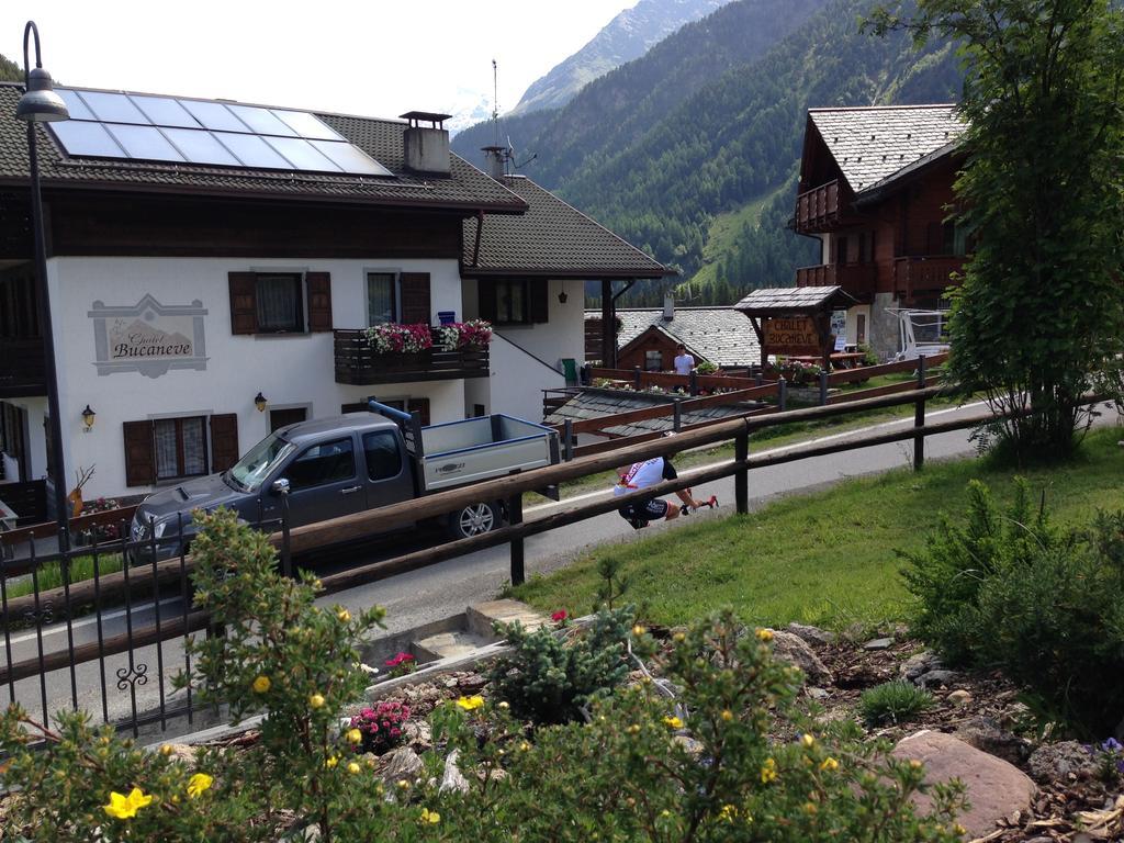 Chalet Bucaneve Santa Caterina Valfurva Dış mekan fotoğraf