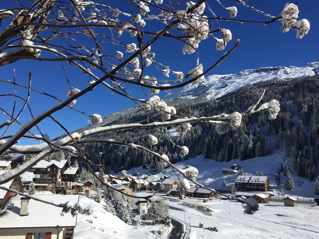 Chalet Bucaneve Santa Caterina Valfurva Dış mekan fotoğraf